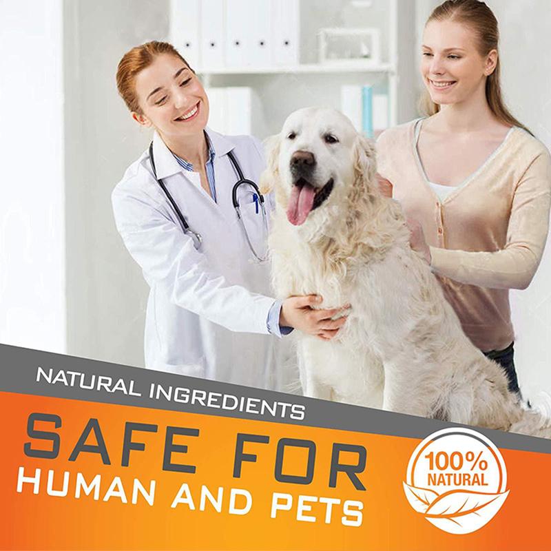 Fashion Prevention Collar Collar Dog / Cat Natural Pests Flea Adjustable Tick Control Pet Flea Collar Waterproof