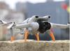 DJI Mini 3 Foldable Sled Skids Landing Legs - Gray