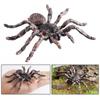 Искусственный паук, украшение на Хэллоуин, реалистичная гигантская модель паука с белым коленом, имитация пластикового паука, игрушки для розыгрышей, развивающие обучающие игрушки