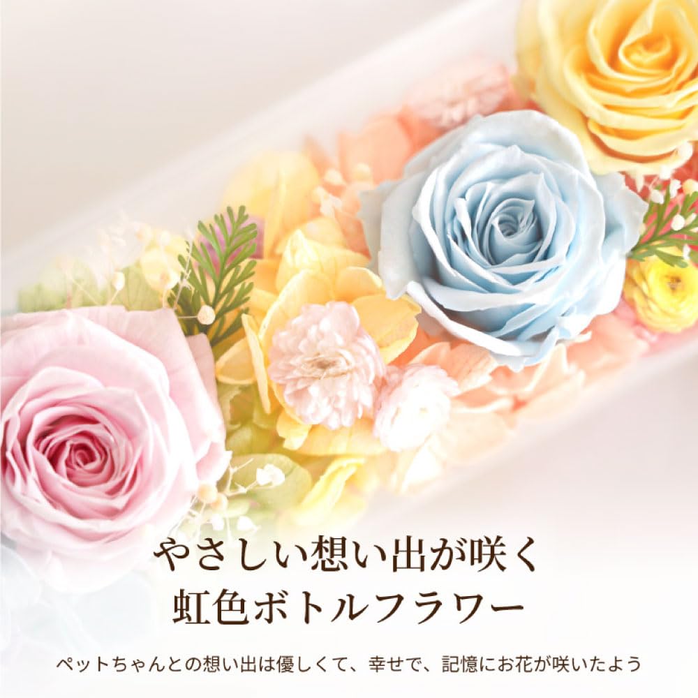 Hana Marika Pet Sympathy Gift, Rainbow Bridge Memorial Bottle, Preserved Flowers for Buddhist Altars, for Dogs and Cats