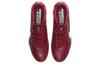 Nike Legend 9 Elite Fg Командный красный Мистический гибискус CZ8482-616