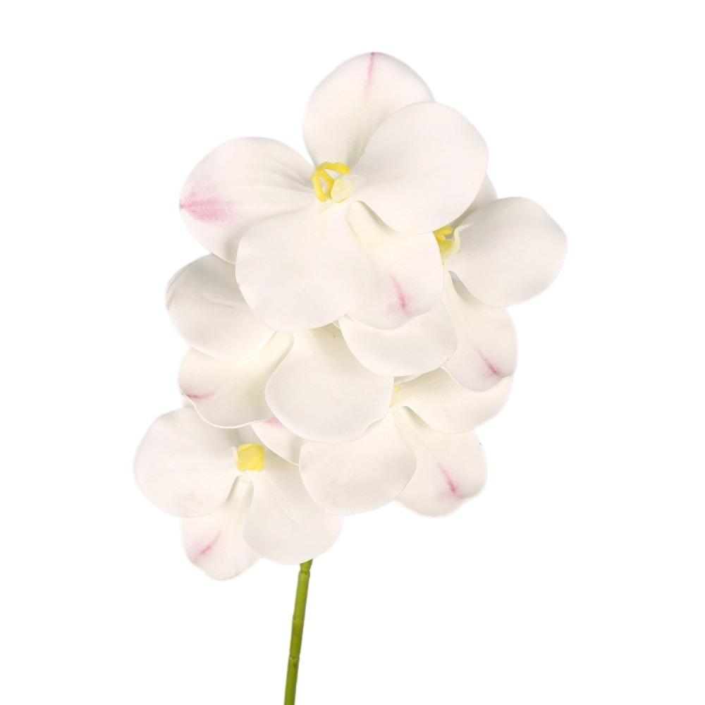 Real Touch Artificial Vanda Orchid Flower Handmade Faux Phalaenopsis  Wedding Party Favors