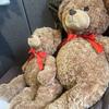 [USED] Parent and Child Lover Teddy Bear