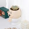 Горшок для растений Face Resin Buddy on Toilet Flowerpot Настольный декор для суккулентов