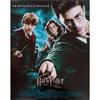 HARRY POTTER Et L'ordre Du Phénix Affiche Cinéma Originale Roulée 53x40cm