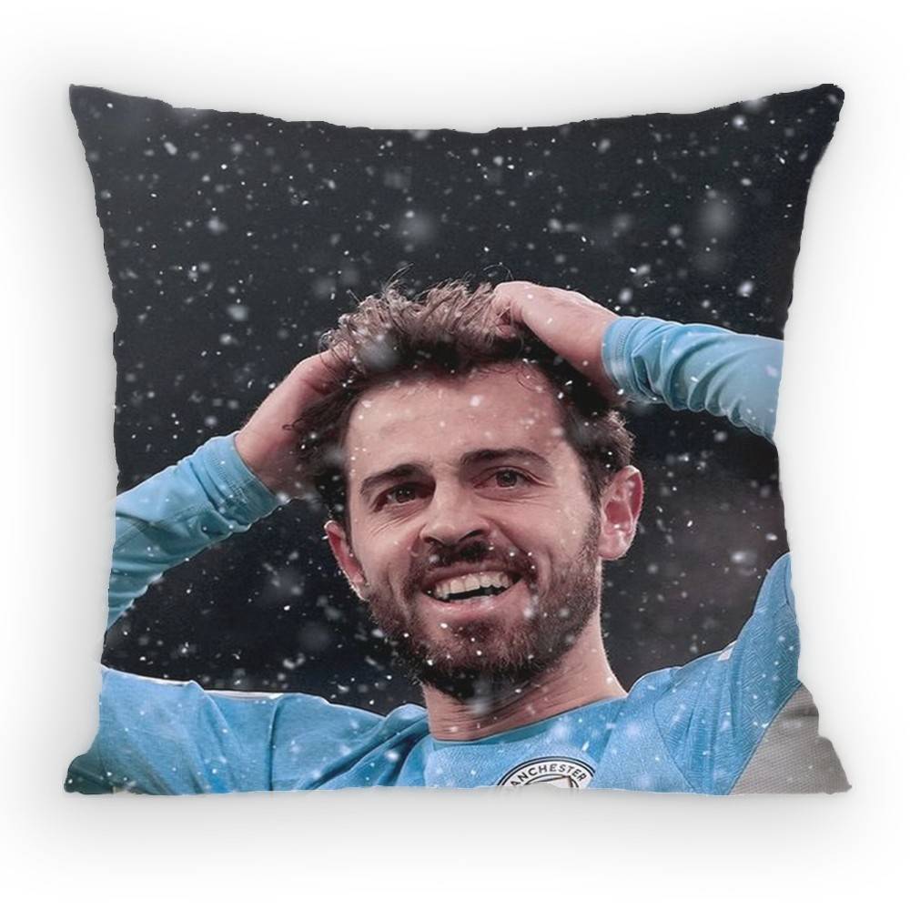 BBernardo SSilva MidCourt Pillow Case Antidustmite Pillowcase Invisible zipper silky short plush Sofa cushion cover
