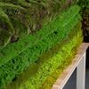 Artificial Plant Landscaping Fake Moss Mat, Realistic Faux Green Grass, 39" x Flexible Grass Rug Natural Looking Turf for Crafts, DIY Fairy