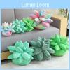 Charming Succulent Plant Stuffed Toys With Realistic Expressions For Kids Gifts