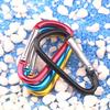 D-Shaped Aluminum Alloy Carabiner Hook: Hand Sanitizer, Water Bottle, Clothing, & Keychain Accessory