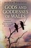 Книга Pagan Portals - Gods and Goddesses of Wales : A Practical Introduction To Welsh Deities and Their Stories