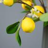 Decoration Restaurant Photography Props Lemon Fruit Artificial Flower Lemon Branch Green Plants