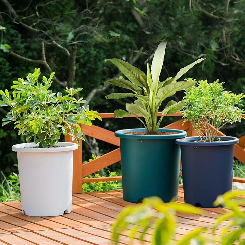 IRIS Resin Deep Pot Planter for Gardening