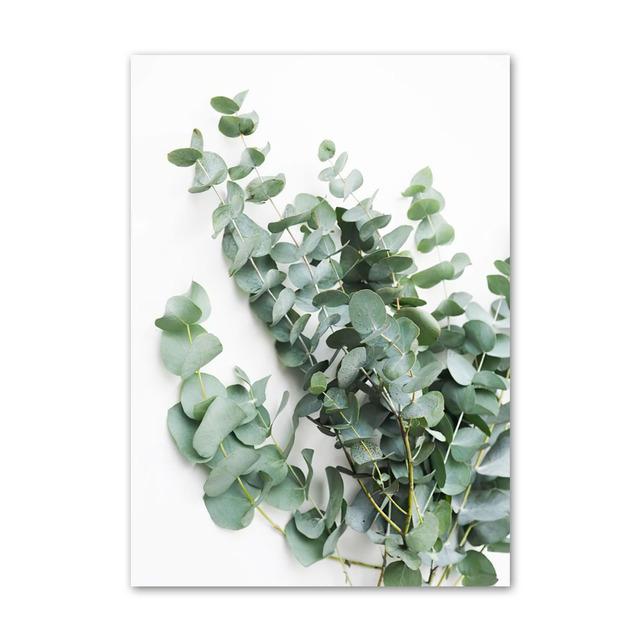 Зеленое растение Агава Кактус Абстрактная геометрия Линия Настенная живопись Печать на холсте Картина в скандинавском стиле Настенный плакат для украшения гостиной