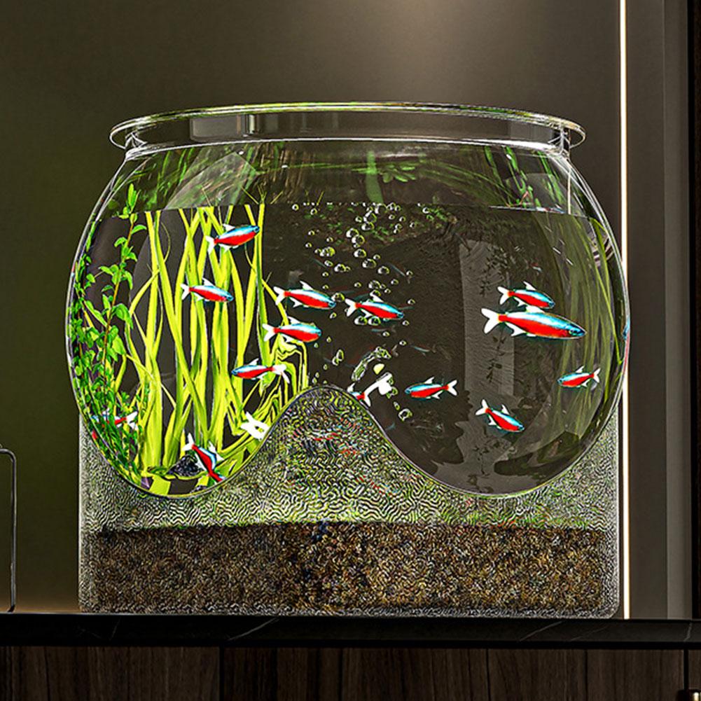 Прозрачный круглый настольный аквариум из ПЭТ для черепахи Betta, устойчивый к чистоте, гидропонный Sh O4O2
