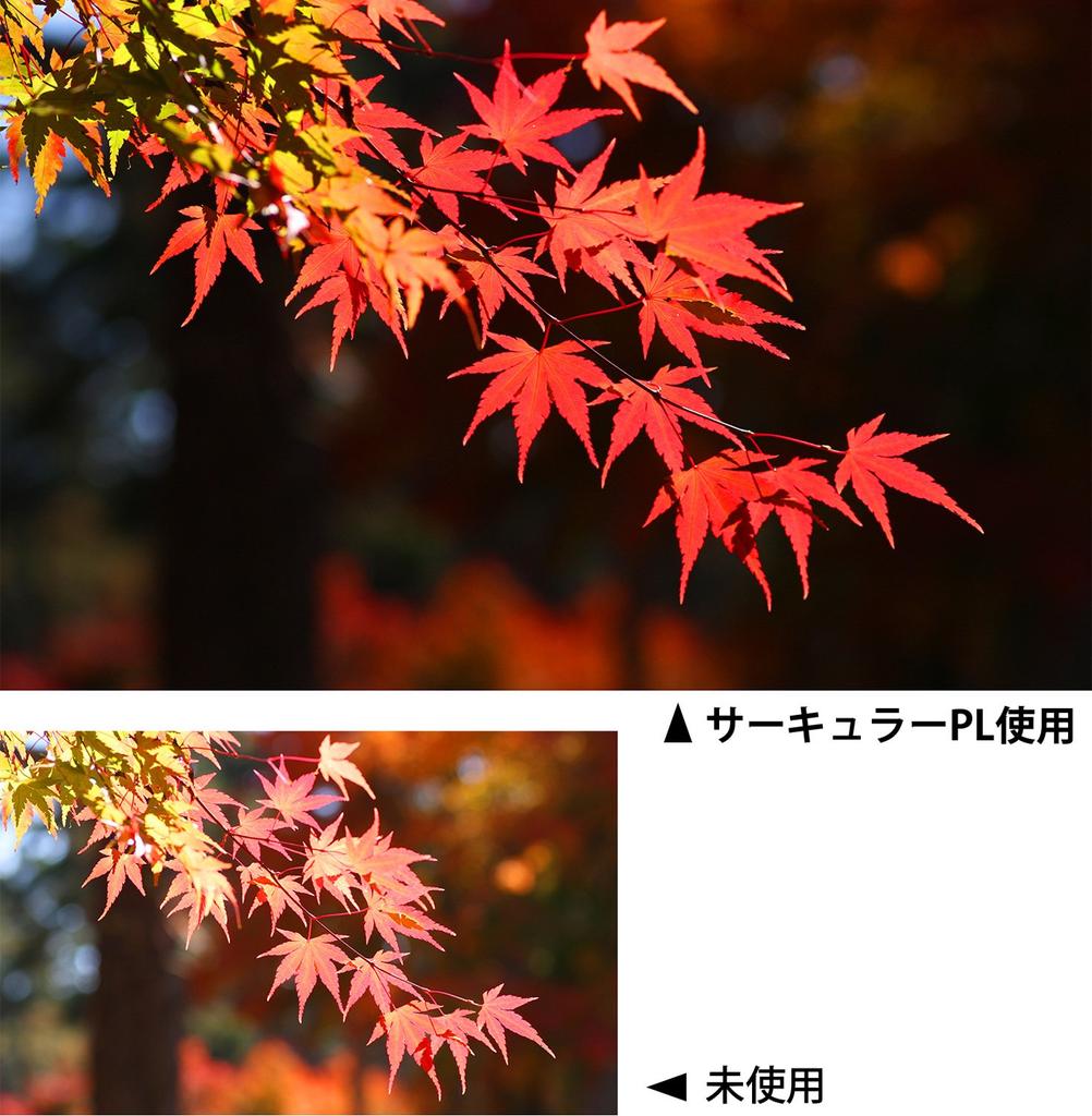 Kenko Camera Filter PRO1D WIDE BAND Circular PL 55mm for Increasing Contrast and Removing Reflections 515525 (W)