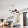 22" Household Electric Ceiling Fan with Hook 3/5 Blades & LED Lighting Fan Silent DC Motor & Energy Saving Fan