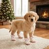 4 PCS/SET Comfortable Winter Dog Snow Boots Thickened Anti-Slip Dog Shoes Dog Cotton Shoes Hiking