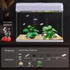 All-in-One Glass Aquarium Filter & Oxygenator - Small Eco-Friendly Desktop Tank 2025.