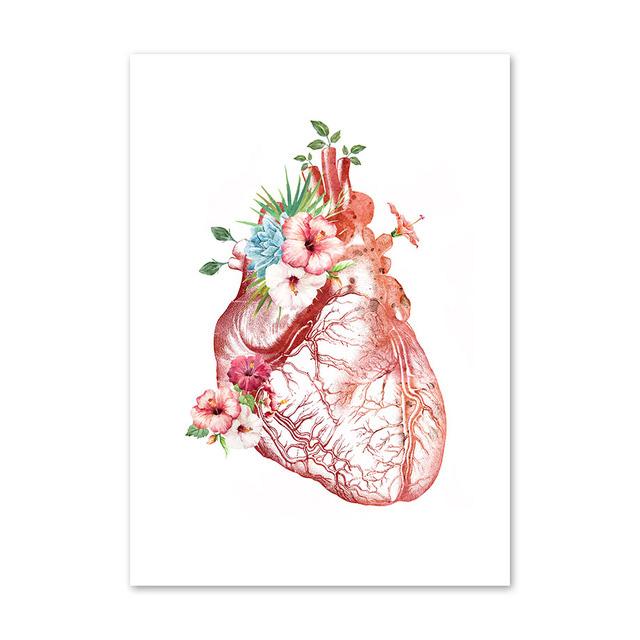 Анатомия стены книги по искусству цветок груди матки печень почки холст картины плакаты на скандинавскую тему печать украшения фотографии для врача офиса