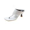Korean Version of Simple Outer Wear Flip-flops Women's Summer 2025 New Fashionable Versatile Thin Heel Square Head High Heel Cool Slippers
