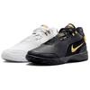Кроссовки Zoom LeBron NXXT Gen AMPD EP 'Equity' Мужские FJ1567-103