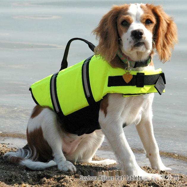 Reflective Dog Swimsuit Life Vest for All Sizes - Summer Outdoor Buoyancy Sportswear for Pet Water Play and Training