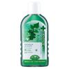 Dentis Etiquette Mouthwash 450ml
