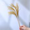 Wabi-Sabi Style Dried Flower Vase with Natural Reeds, Cattails, and Wheat (30-40cm)