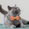 Милые ошейники для Хэллоуина с кошкой и сменным бантом для котят малого и среднего размера