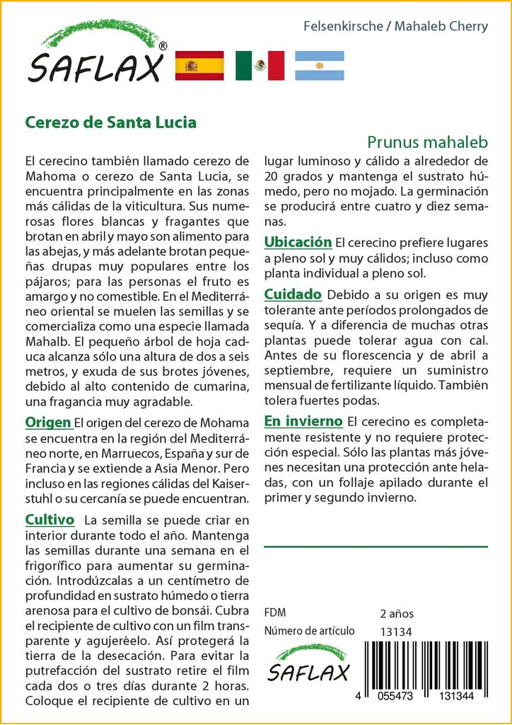 SAFLAX Махалеб Вишня - 30 семян - Prunus mahaleb