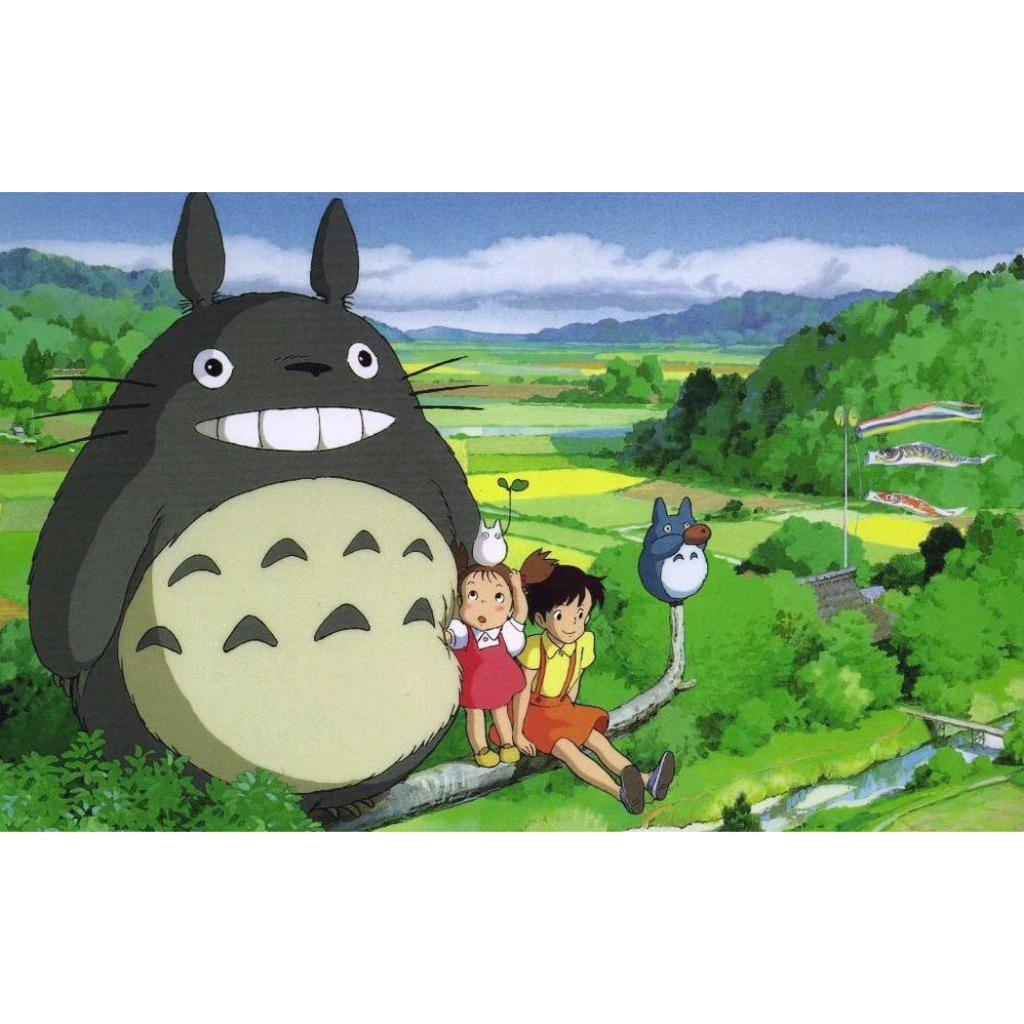 Malowanie Po Numerach Z Ramą Obrazy Do Malowania - Totoro Ghibli 50X40 Cm