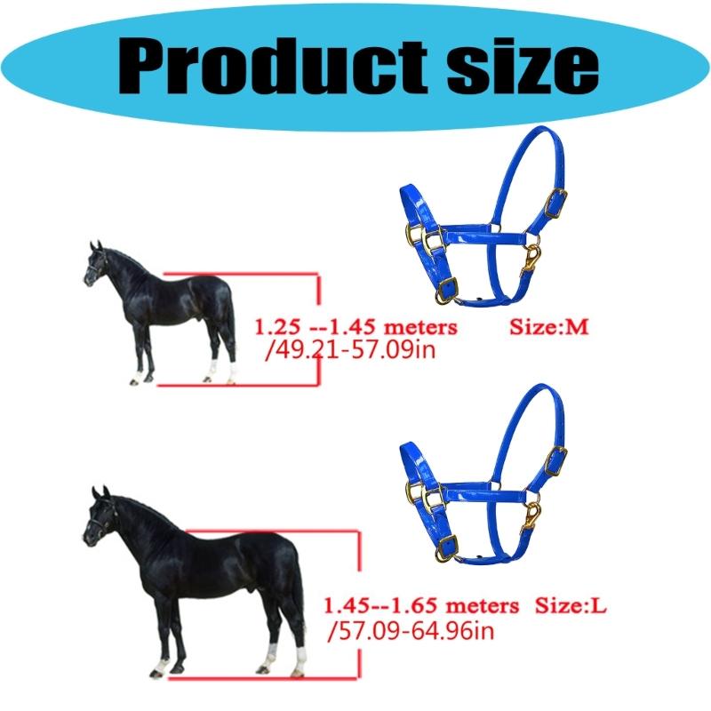 Smell Frees Equestrians Horse Headstall Bridle With Golden Buckles Smooth Soft Leather Surfaces For Effortless Cleaning