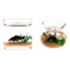 Dollhouse Mini Fish Tank Diy Resin Transparent Goldfish Tanks Miniature Decor