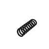 Ft01927 Fast Rear Suspension Spring