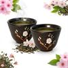 CAST IRON CUPS 2 PCS CAST IRON TEA SET CUPS 60 Ml