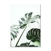 Scandinavian Green Leaves Flowers Picture Tropical Plant Wall Art Canvas Painting Nordic Posters and Prints Living Room Decor