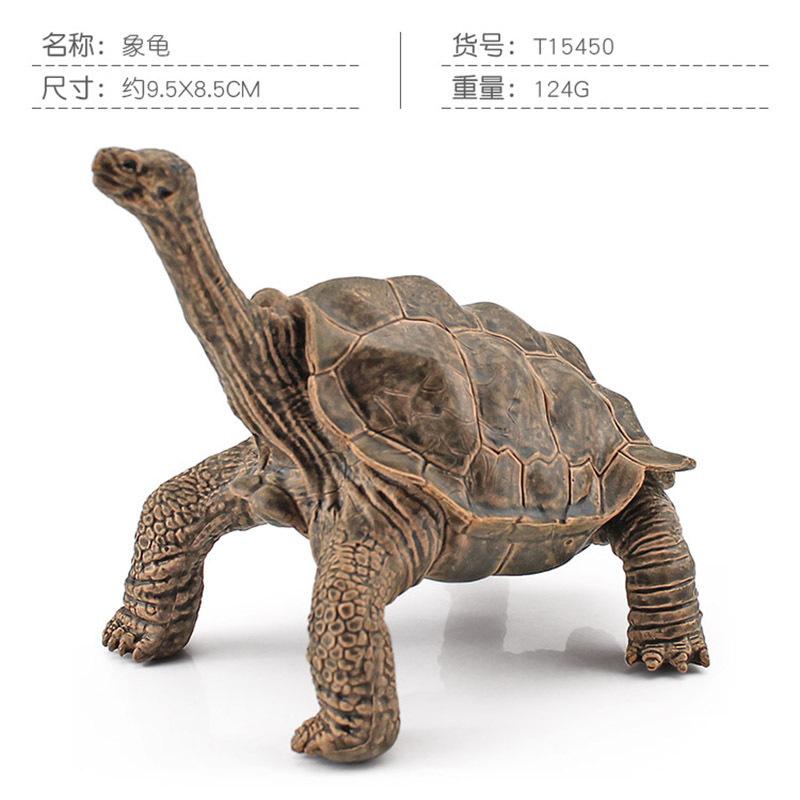 Simulation Amphibian Reptile Model Tortoise Tortoise Star Tortoise Static Decoration Cognitive Ornament Toy