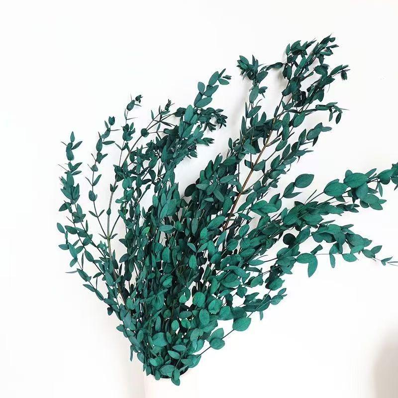 Preserved Rabbit Tail Grass Bouquet - DIY Dried Flower Decoration with Pampas Grass