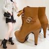 Women High Heels Platform Ankle Boots  Autumn Winter Fashion Thick Heel Cross Strap Boots Female Belt Buckle Short Booties