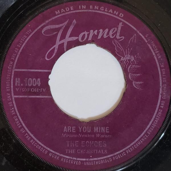 7-дюймовая пластинка ECHOES Are You Mine I Love You Forever H1004 Hornet 1961 UK Blues Б/у