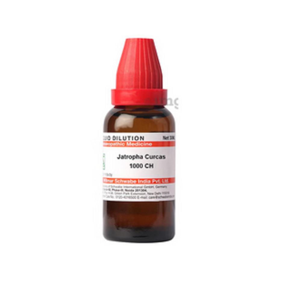 @ Dr Willmar Jatropha Curcas 1 M Homeopathic Medicine 30ML A925 UKR287_60%OFF