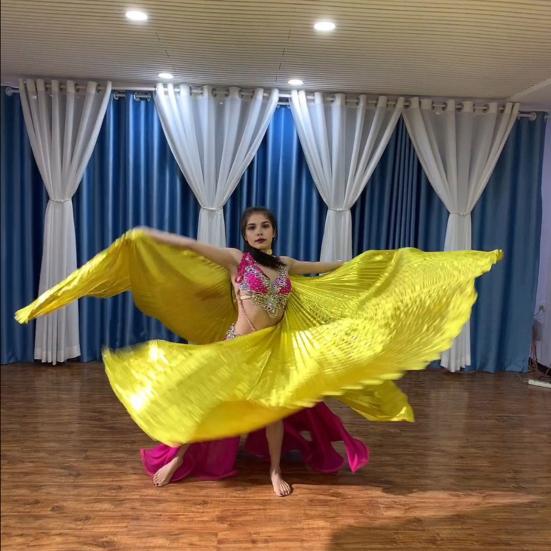 1 Set Performance Telescopic Rod 360 Wings Egyptian Degree Belly Dance Cape with Costume Pleated Bright