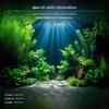 3D-наклейка на фон аквариума, приклеиваемая, водостойкая, декор для аквариума с рыбами SCA001