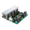 B03C 1943/5200 2-канальная цифровая плата Hi-Fi усилителя высокой мощности 150 Вт + 150 Вт