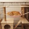 Comfortable Pet Cage Hammock Wear Resistant Hanging Sleeping Bed Cat Hanging Hammock  Indoor