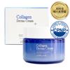 Leverage Collagen Derma Cream – Firming & Deep Hydration