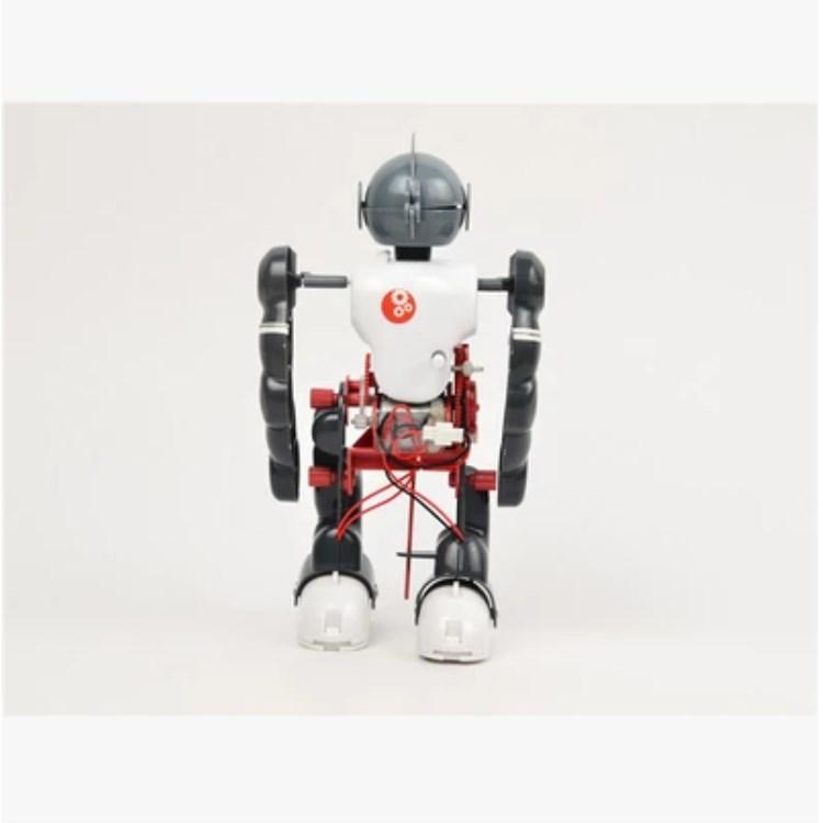 14 In 1 Diy Science Experimental Robot Tumbling Robot Assembly Toy Educational DIY Robotics Kits DIY Electronic Robot
