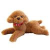 Poodle Stuffed Soft To the Cute and Soothing Poodle Stuffed Hug for Sleeping for Putting To for for for the Birthday Present Animal, Dog, Realistic,