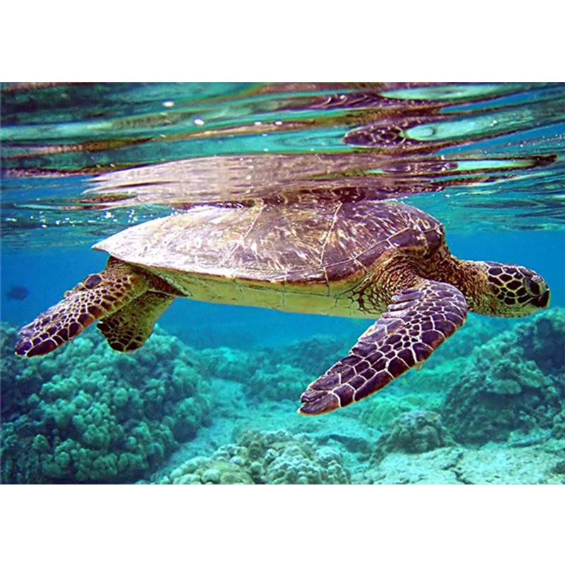 Алмазная картина Морская звезда, полная квадратная мозаика, художественная Алмазная вышивка, пейзажная картина из стразов, украшение для дома