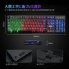 Rii Gaming Keyboard, 106 Keys, Japanese Layout, USB Wired, PS4 Compatible, Backlit, 19 Keys, Anti-Collision, Waterproof, 7 Colors, Compatible with